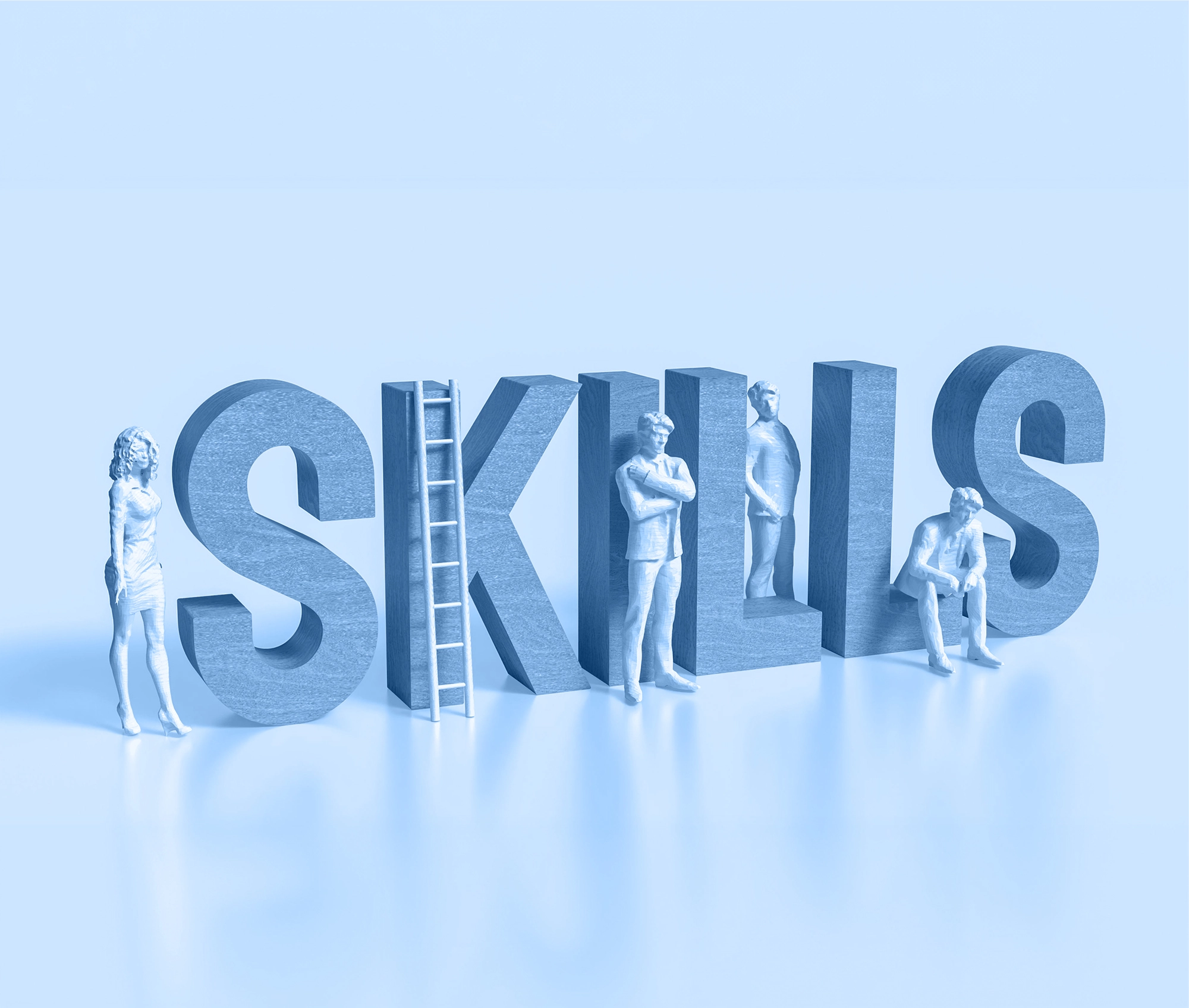Skills visual